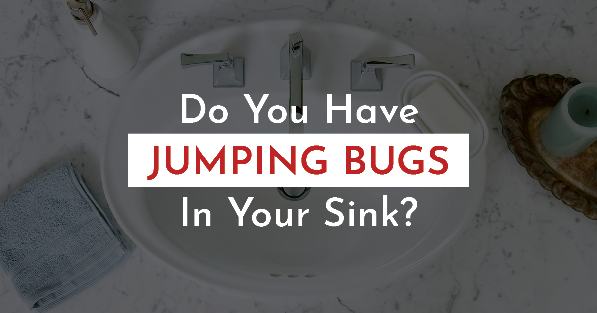 jumping bugs in bathroom sink